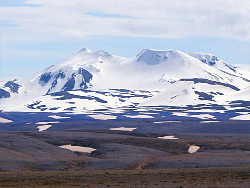 ОТЕЛИ